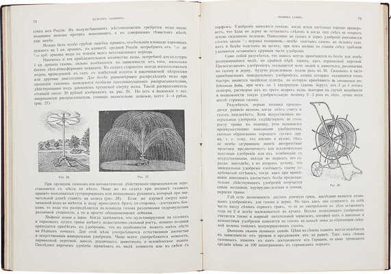 Кичунов Н.И. Цветники и партеры. Устройство ковровых клумб, рабаток, арабесок, цветочных и лиственных групп. СПб.: Изд. А.Ф. Девриена, 1904.